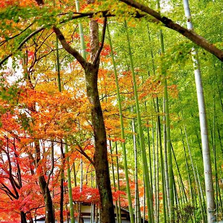 Apartament Kyoto Yadomachi Nishijin Zewnętrze zdjęcie